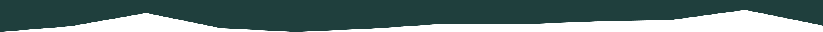 Bottom Dark Green Divider