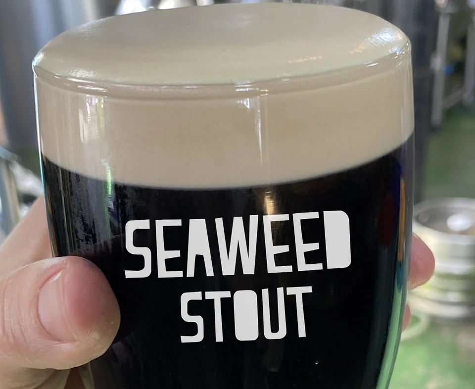 Treaty City Brewery's seaweed stout