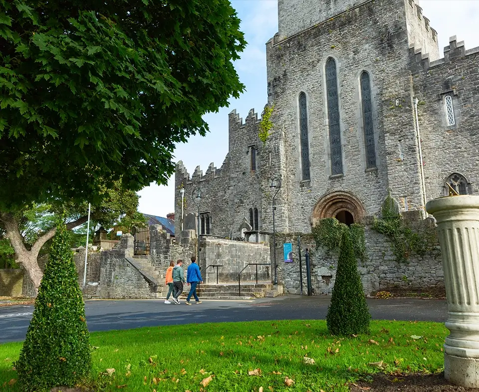 Saint Mary's Cathedral, Exterior, Limerick City master