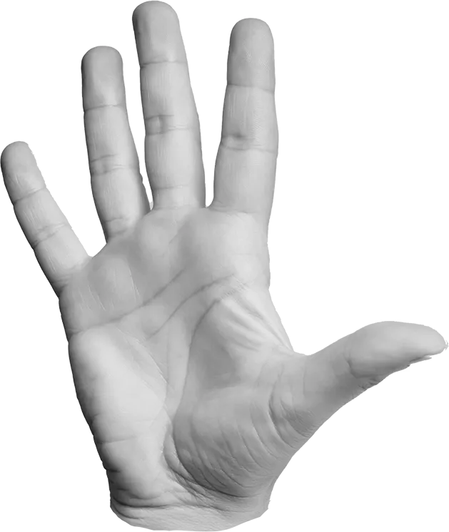 left hand